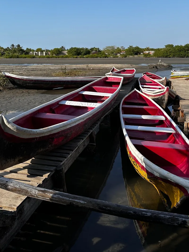 Canoas rojas amarradas a un muelle de madera junto al manglar